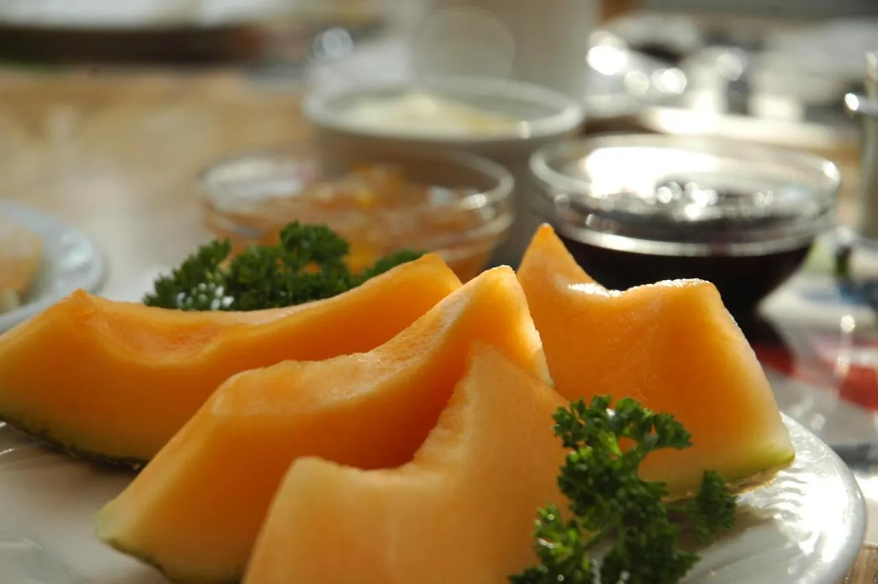 *** Bed & Breakfast Cambie Lodge Vancouver Kanada